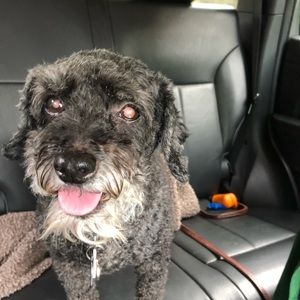 Meet your Posher, Marianne